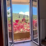 Kali Zoi -b&b Zakynthos * Amoudi