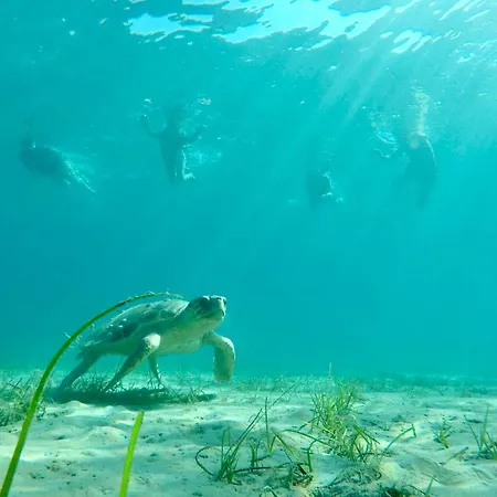 Kali Zoi -b&b Zakynthos *