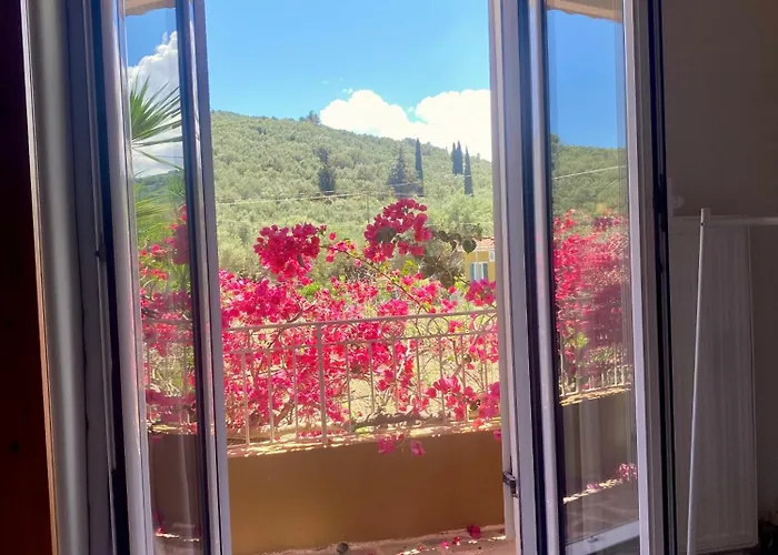Kali Zoi -b&b Zakynthos * Ammoudi