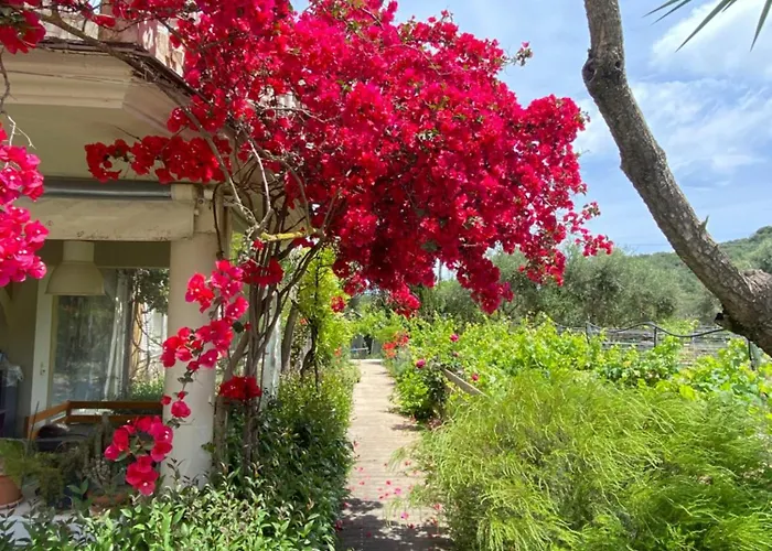 Nocleg ze śniadaniem Kali Zoi -b&b Zakynthos *