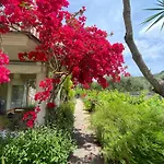 Bed & Breakfast Kali Zoi -b&b Zakynthos *
