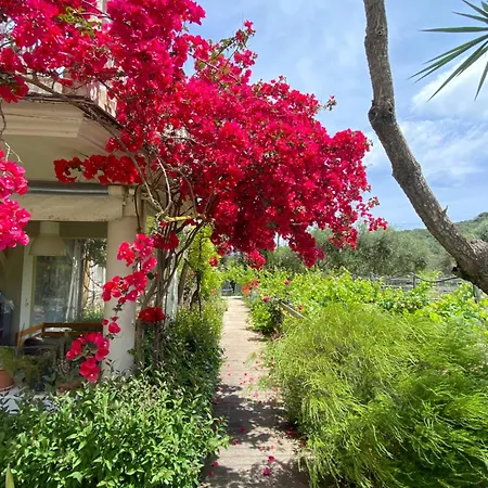Panzió Kali Zoi -b&b Zakynthos *